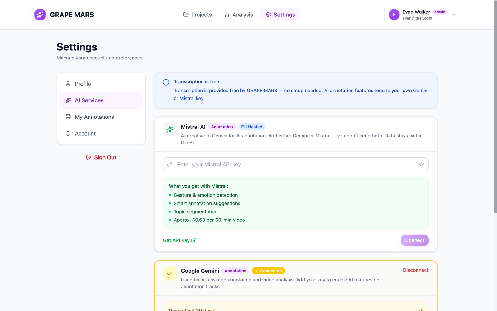 The Settings page on the AI Services tab, with the Mistral AI and Google Gemini cards.