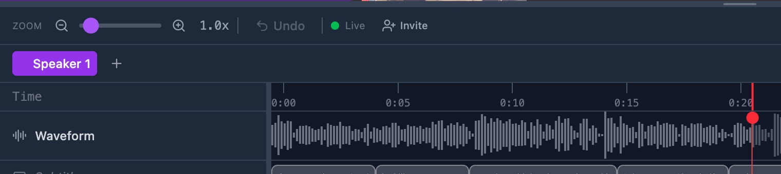 The speaker tabs above the timeline, with one tab named Speaker 1 and a plus button beside it.